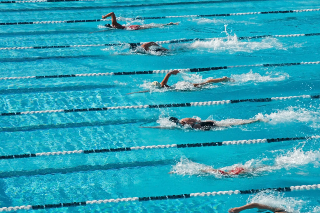 Swimmers swimming laps in a race.