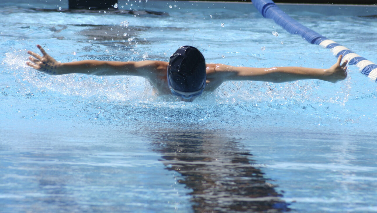 Swimming doinig the butterfly in a lane.
